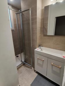 圣旺*Appartement Moderne/2 minutes du métro*的一间带水槽和淋浴的浴室