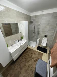 德布勒森VRG 1 Exkluzív Apartman的一间带水槽、淋浴和卫生间的浴室