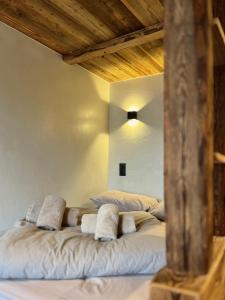 夏蒙尼-勃朗峰Le Nid de l'Aiguille - Au pied de l'Aiguille du midi的一间卧室配有两张带枕头的床。