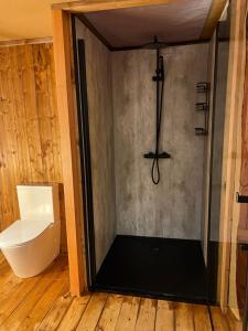 布尔高Quinta Aurora的浴室配有淋浴和卫生间。