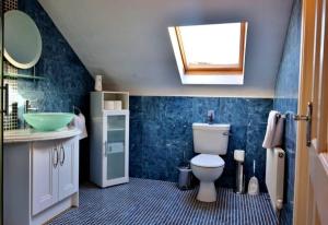 杜林The Cliffs of Moher Holiday House的一间带卫生间、水槽和镜子的浴室