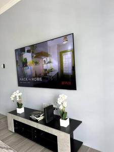 金斯敦Ridge View的客厅设有壁挂式平面电视。