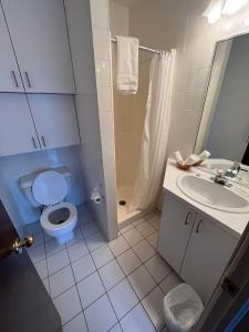 萨格奈奥伯格帕拉所酒店的浴室配有卫生间、盥洗盆和淋浴。