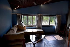 塔拉Olive的带沙发和2扇窗户的客厅