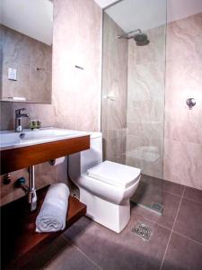 拉巴斯Altus Express Hotel的浴室配有卫生间、盥洗盆和淋浴。