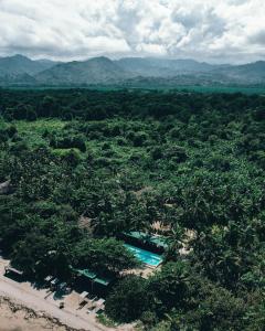 GuachacaBohemia Beach的享有森林的空中景致,设有游泳池