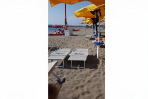 菲乌米奇诺萨布丽娜机场酒店的海滩上一排沙滩椅和遮阳伞