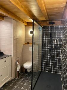 GavereGastenverblijf A&A met mezzanine的一间带卫生间和玻璃淋浴间的浴室