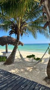 玛哈威Pronoia Casa de Playa的海滩上两棵棕榈树上的吊床