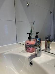 海牙The Hague Heritage的浴室水槽和粉红色的牙膏