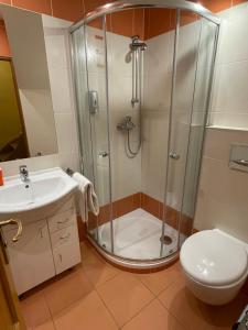 布拉格乔治国王酒店的带淋浴、卫生间和盥洗盆的浴室