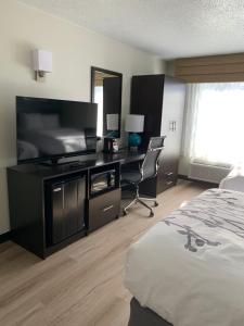 斯汤顿斯汤顿司丽普酒店的酒店客房配有一张床、一张书桌和一台电视。