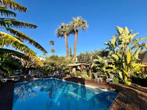 阿尔啼Hotel Altea Paradise 1917 - Adults Only的一座棕榈树环绕的游泳池