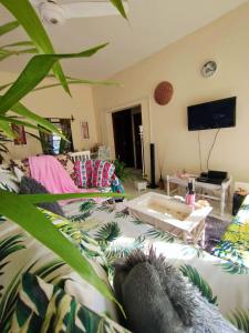 迪亚尼海滩Palm Paradise Loft的带沙发和电视的客厅