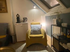 阿纳姆Bed and breakfast Carma Arnhem的客房内的黄色椅子和枕头