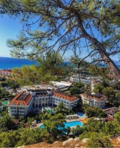 安塔利亚MIRAMOR HOTEL & Spa - ULTRA ALL INCLUSIVE的从树上欣赏到度假村的景色