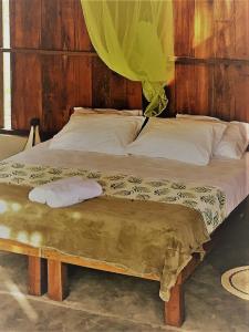 莱蒂西亚Amazona Lodge的床上有2个枕头