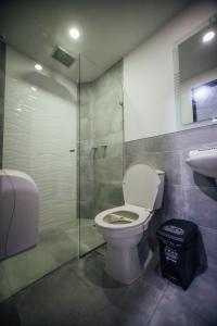 麦德林Hotel Panorama Medellín的一间带卫生间和玻璃淋浴间的浴室