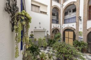 赫雷斯-德拉弗龙特拉圣安德烈斯酒店的享有植物和庭院的外部景色