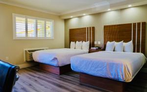 旧金山格林威治酒店的酒店客房设有两张床和窗户。