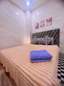 芹苴MIS HOSTEL Cần Thơ的一间卧室配有一张大床和紫色枕头