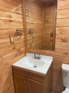 赛维尔维尔Smoky Mountain Enchanting Haven 3BR2BA Cabin的一间带水槽和镜子的浴室
