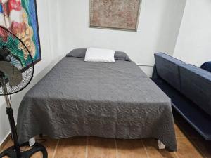 马亚圭斯Newly remodeled 3 BR Center Mayagüez, First Floor Unit1的一间卧室配有一张床和一张蓝色的沙发