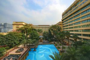 广州广州东方宾馆-免费广交会穿梭巴士-采购商办证点的享有酒店上方的游泳池景致
