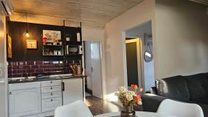 萨莫博尔Studio apartman Gradna的厨房以及带沙发和桌子的客厅。