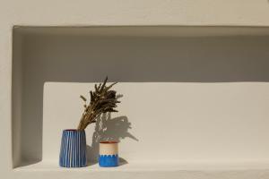米科利维亚Isychos House的两只蓝色花瓶,坐在一个植物架上