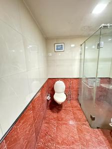 新德里Hotel Divine Admire Opp Gurudwara Sahib in Taimoor Nagar-Friends Colony的一间带卫生间和淋浴的浴室