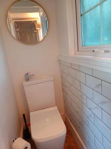 伦敦德里The Wee Tiny Home的浴室设有白色的卫生间和镜子