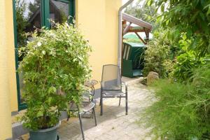 NeuendorfFerienhaus am kleinen Hafen的庭院里摆放着两把椅子,种植了盆栽植物
