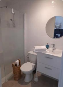 RoaixGuest house en Provence的一间带卫生间、水槽和镜子的浴室