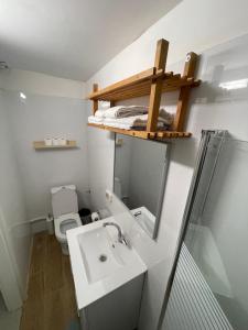 贝尔谢巴Spring-shell的一间带水槽和卫生间的小浴室