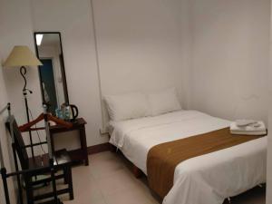 碧瑶Skyland Garden Hotel and Resort的一间小卧室,配有一张床和镜子