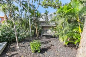 萨尼贝尔Turtle Tracks West- NOW OPEN!的棕榈树和房屋的后院