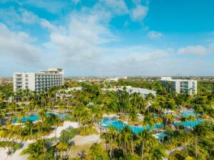 棕榈滩希尔顿阿鲁巴加勒比赌场度假酒店的享有棕榈树和游泳池度假村的空中景致