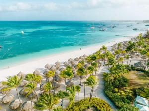 棕榈滩希尔顿阿鲁巴加勒比赌场度假酒店的享有棕榈树海滩和大海的空中景致