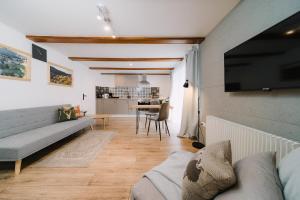 费尔德伯格Black Forest Dream Apartments的带沙发和平面电视的客厅