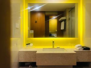 阿姆利则阿姆利则兰吉特大道假日酒店的一间带水槽和大镜子的浴室