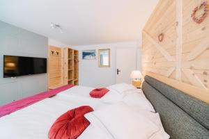 费尔德伯格Black Forest Dream Apartments的一间卧室配有两张床和一台平面电视