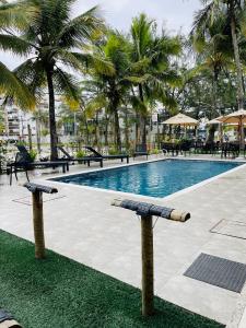 里约热内卢Surf'O Hostel的一座棕榈树环绕的游泳池