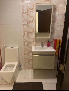安曼Apartment in Amman 7th circle的一间带卫生间、水槽和镜子的浴室