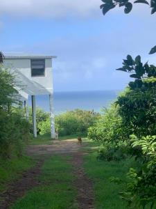 Rodrigues IslandSerenity cottage的相册照片