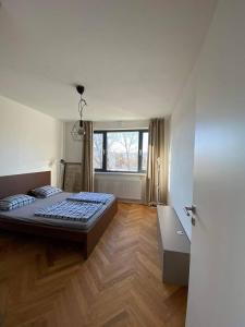 布拉迪斯拉发Bratislava FORESTPARK, FREE parking, self-check IN的一间卧室设有一张大床和一个窗户。