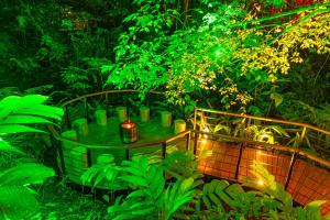 福尔图纳Noah's Forest Hotel by Tifakara的花园设有绿树和灯光桌子