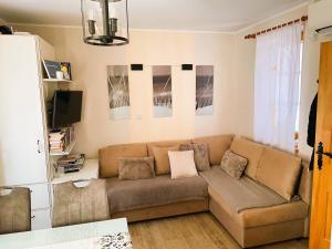 摩拉瓦托普利采Apartment Marjetica的带沙发和电视的客厅