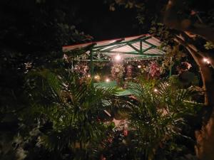 科塔吉里Pear Tree Entire 2BHK Villa Kotagiri的夜间有植物和灯的温室