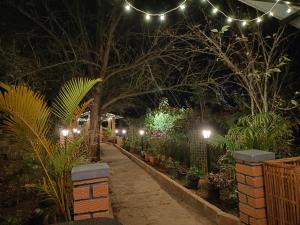 科塔吉里Pear Tree Entire 2BHK Villa Kotagiri的花园,有灯光和植物